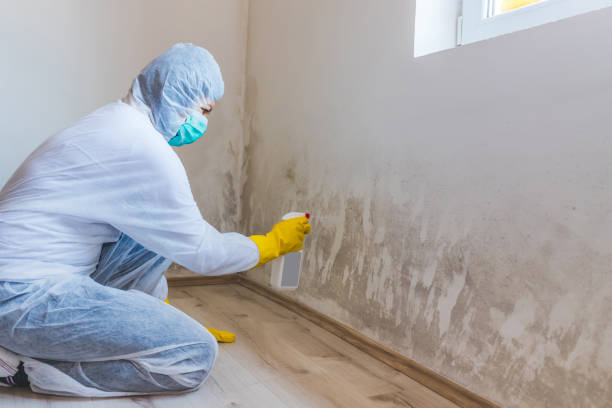 Hvac And Air Duct Mold Remediation inspection of HVAC system in Harrisburg